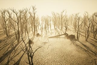 Vědci zjistili termín konce světa. Na zemi po nás nezůstane ani stopy, tvrdí