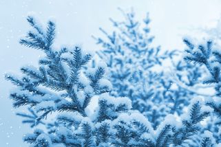 Brzy opět napadne sníh, ukazují nejnovější výpočty modelů