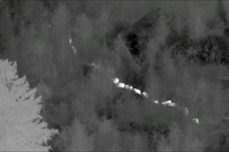 Po policejních střelcích zůstalo na severu Čech 44 zabitých divočáků. A naštvaní myslivci - Novinky