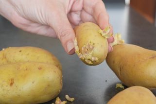 Proč zkušené hospodyňky nikdy nevyhazují naklíčený česnek a cibuli? Důvod vás překvapí