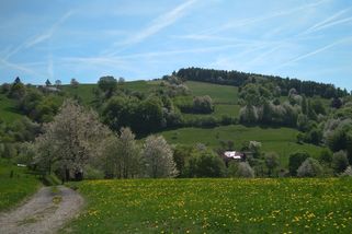Bílé Karpaty jsou mystickým krajem. V noci mám ale strach chodit ven - Médium.cz