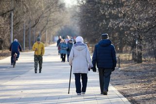 Tohle je nejlepší psí plemeno pro důchodce. Rád poslouchá historky z mládí a sleduje seriály celý den