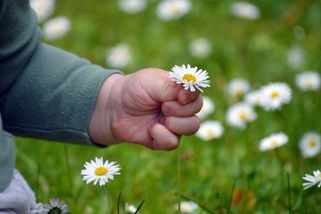Syn se stěhuje s vnukem do Kanady
