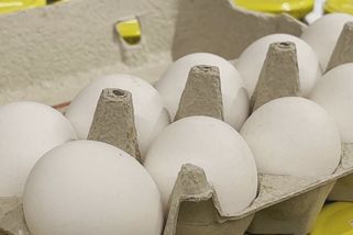 Až sedm korun za vajíčko. Ptačí chřipka může přinést další zdražování