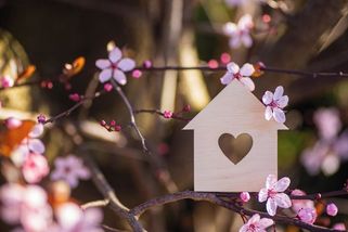 „Březen, za kamna...“ Jak dobře znáte české jarní pranostiky? Ověřte si v kvízu!