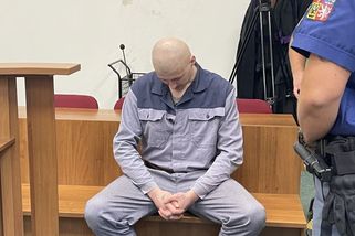 Podřezání fenky Chilli u soudu: Mladík vykopal psovi hrobeček. Svědek popsal jeho návrat z lesa