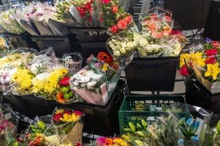 Proč jsou květiny hned u vstupu do supermarketu? Není to náhoda