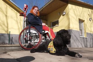 Asistenční pes jako pomocník i parťák. Příběh Lucie a Amandy