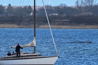 Keporkakovi se podařilo opět vyprostit. Už je ale velmi slabý - Seznam Zprávy