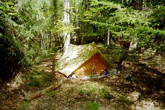 V pražském lesíku žily ve stanu dvě malé děti. Byl...