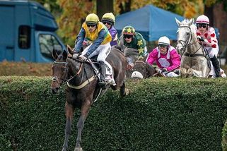 Velká pardubická: Tým ze Šumperska s jediným koněm slaví. Bude grilovačka