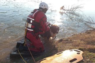 Na Berounce se prolomil led pod psem. O život nakonec bojovala jeho majitelka - Novinky