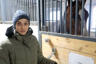 Poslanec ANO spustil ohňostroj přímo nad stájí se závodními koňmi. Vyhrožoval, že mi rozbije hubu, tvrdí trenérka - Novinky