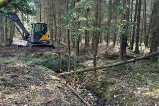 V Brdech zasypávají umělé kanály z 80. let. Lesníci chtějí obnovit přirozený tok vody