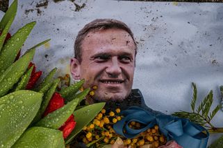 Změna ruské taktiky: Proč použili k likvidaci Navalného jed ze žáby místo novičoku? - Echo24.cz