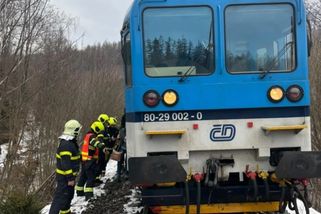 railtarget.cz/osobni-doprava/to-neumi-uklidit-jedno-zvire-monika-vytocila-lidi-dobela-splaseny-kun-vykolejil-rychlik-11699.html