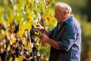 Tolerance Čechů k alkoholu je vysoká - Novinky