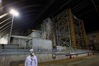 V Černobylu je záhadná houba, která se zřejmě živí radiací - Novinky