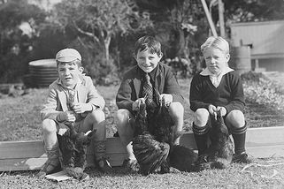 Tři děti z Frýdku-Místku roztrhal granát, spletly si ho s plechovkou. Pohřeb školáků narušil blázen - Médium.cz