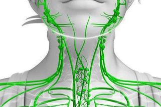 Tato finta na očistu lymfatického systému vás zbaví všech toxinů, které mají kritický vliv na fungování vašeho těla. Zvládne to každý
