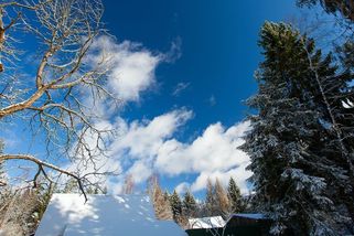 Mírná zima a brzké jaro, slibují meteorologické modely - Novinky