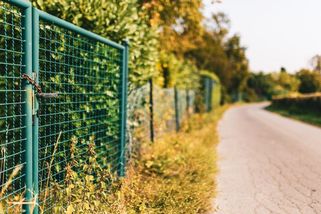 Na naší zahradě jsme našli odpad od souseda. Když jsme ho konfrontovali, řekl, že to je náš problém - Médium.cz