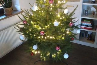 Poprosila jsem souseda o pomoc se stromečkem. Neudržela jsem se a odvděčila se jinak, než čekal - Médium.cz