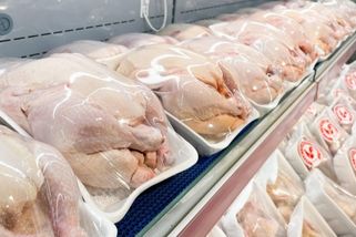 Kuřecí maso je plné antibiotik a hormonů: Mýtus, nebo reálné nebezpečí?