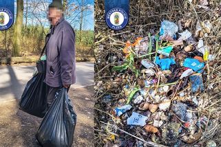 „Hnojím stromy,“ tvrdil senior, který rozhazoval půl roku odpadky v plzeňském lese - Novinky