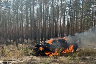 Střípky šílenství - bojový pošuk v lese - Médium.cz