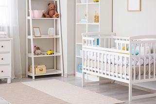 Pes v Michiganu převrhl postýlku a usmrtil pětidenní holčičku - Novinky