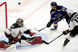 Arizona - St. Louis 4:7, Vejmelka naskočil do branky Arizony, k obratu ale nepomohl - Sport.cz