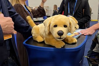 CES 2026: Robotická fenka je naprostý hit. Bude bavit nemocné - Novinky