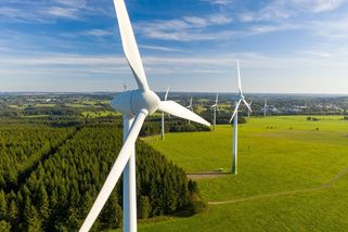 Větrné elektrárny bez vrtulí: Tyto vibrující sloupky mohou vyrobit proud i v městské zástavbě