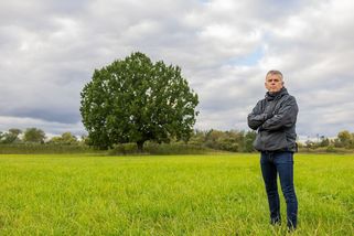 Odpůrci pískovny vymysleli nevídaný trik. „Objevili“ vzácný strom - Seznam Zprávy