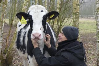 Na farmě u České Lípy našla svůj domov zachráněná hospodářská zvířata i adoptovaní psi | Packa pro útulkáče