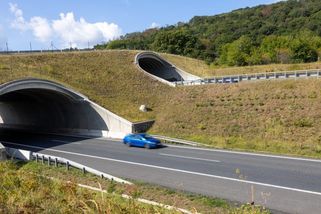 Děti Země si spletly Polsko se Slovenskem. Přesto blokují dálnici jednoduchým trikem