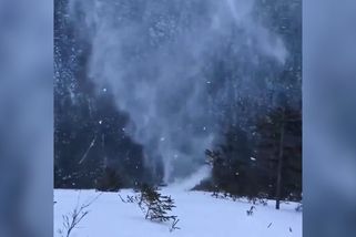 Na Slovensku zachytili sněhového raráška - Novinky