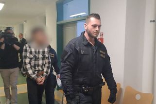 Soud poslal obviněného z vraždy dítěte na Lounsku do vazby - Novinky
