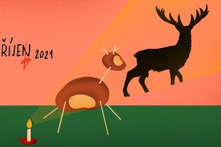 Hubnutí je v hlavě. Ale ne v mé - Proženy.cz