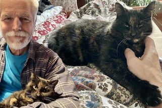 Zemřela nejslavnější česká kočka: Micka manželům Pavlovým umetala cestu na Hrad – eXtra.cz