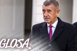 S kanónem na neziskovky. Až vám propuštěný vězeň něco ukradne, poděkujte Babišovi