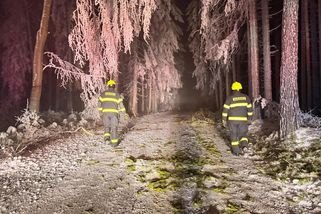 Mráz na Vysočině kosí stromy. Vytvořila se až 30centimetrová námraza