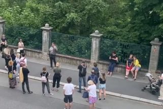 VIDEO: Dagmar Havlová se zlobí na zvědavce pod okny: Už toho mám dost. Nejsem muzeum - Echo24.cz