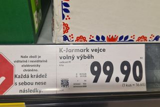 Velikonoční vejce vyjdou draho, může za to chřipka i zákaz klecí - Novinky