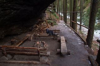 Pavel Kmoch: Reakce na tzv. otevřený dopis Ivana Breziny - Ekolist.cz