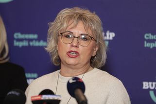 „Pošleme je do kytek.“ Poslankyně ANO nechala zakleknout exmanželovu firmu - Seznam Zprávy