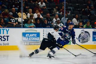 Extraligu vyhrají Pardubice na domácím ledě. Třinec pátý titul v řadě nezíská - Médium.cz