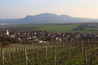 Sklizeň na polích jižní Moravy dvakrát ročně. Vodu by mohl poskytnout Dunaj - Novinky
