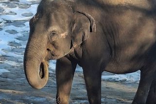 Proč po letech opouštím Českou spořitelnu: Vyhrožování místo vděku? - Médium.cz